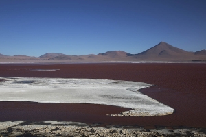 Laguna Colorada_1
