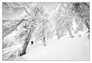 Märchenwald Hochsur