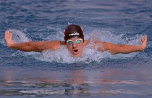 Schmetterlingsschwimmer_1