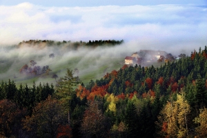 Herbstnebel