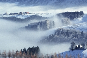 Höfe über dem Nebel