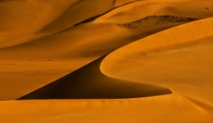 Sanddünen in der Sahara