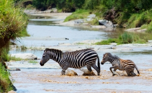 Sicher durchs Wasser