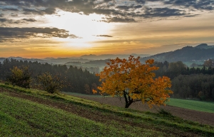 Herbst beim Premgruber_1