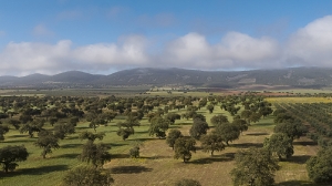 Extremadura Spanien_2