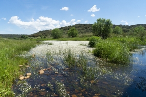 Extremadura Spanien_7