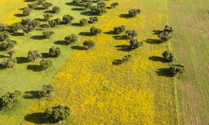 Extremadura Spanien_9