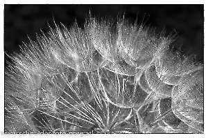 1047-1062 (A,Radius24,Smoothing4)-2-SW,HP,ret