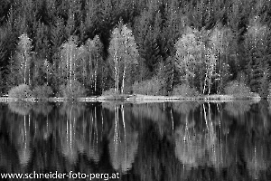 Bärnkopf-Schlesinger Teich-5683-HP-SW