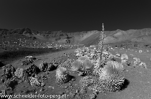 Hawaii_Maui_Haleakala_3366-Bearbeitet
