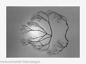 Tasmanien_Spiegelung_Tasmanien mit Rand-SW