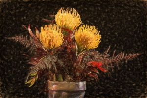 Leucospermum_1